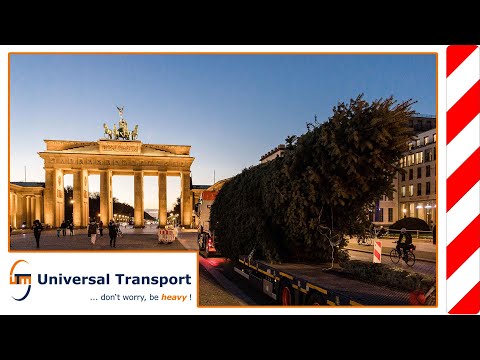 A tree on a long journey - Universal Transport